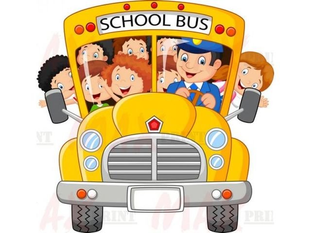 bus